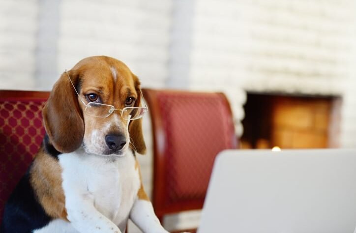 not-just-cartoonishly-evil,-probably-illegal-to-boot!-—-see-also