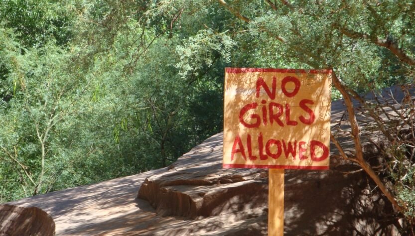 biglaw-partner-called-out-for-‘grossly-misogynistic-and-outdated-agenda’