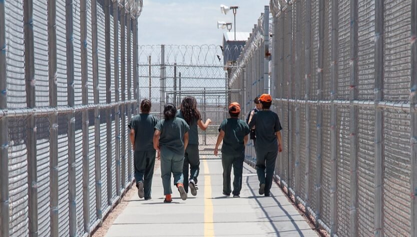 cebonds-one-year-after-its-implementation