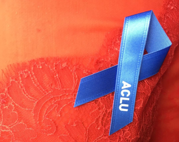 aclu.-looking-for-new-legal-director-as-david-cole-steps-down