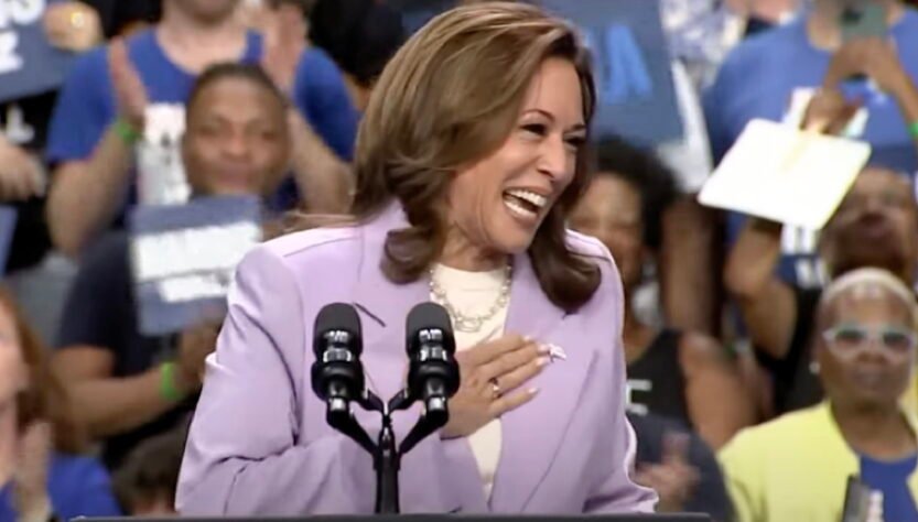 ‘how-could-you-prosecute-the-hamburglar?’:-new-kamala-‘controversy’-sparks-‘confessions’