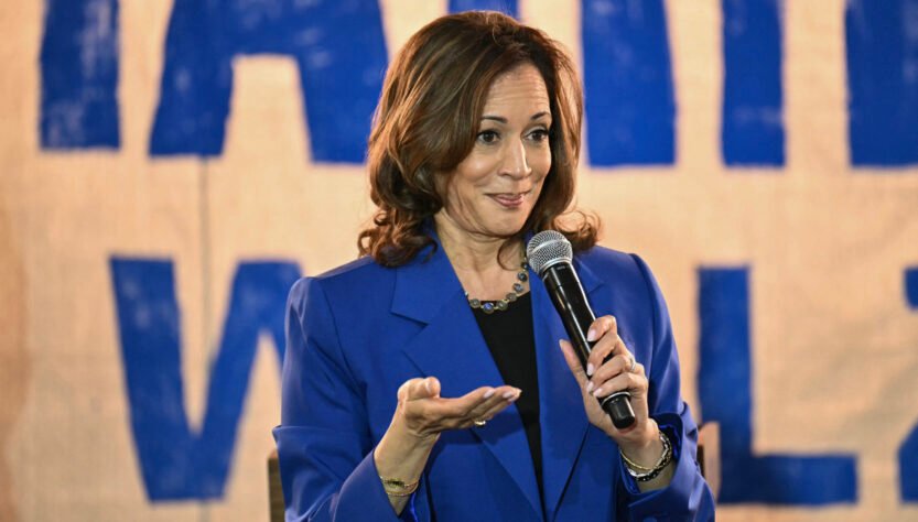 dipshits-at-washington-free-beacon-just-wondering-why-harris-left-mickey-d’s-off-her-professional-resume