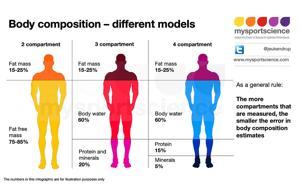Assessing Body Composition