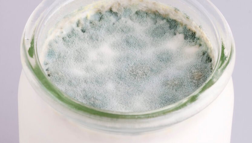 paul-weiss-interview-aged-like-raw-milk