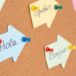 language-access-continues-to-be-an-important—and-contested—part-of-american-life