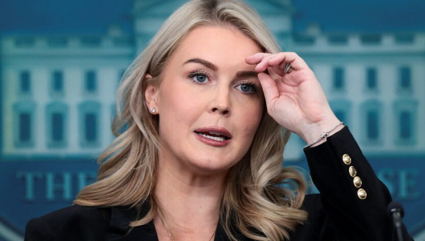 white-house-spins-trump’s-arrest-demand-as-simply-holding-dems-‘accountable’