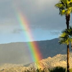 legal-ethics-roundup:-‘judicial-burn’-dissent,-high-stakes-poker-player-lawyer-risks-it-all,-ai-faked-evidence,-doj-misconduct-&-more