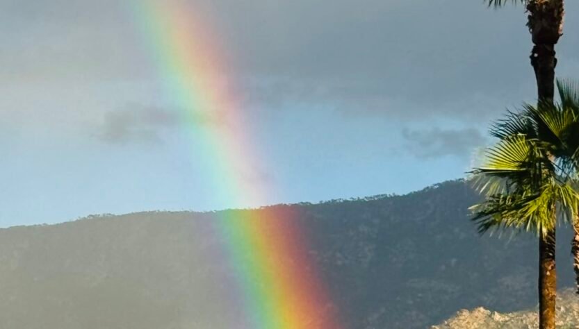 legal-ethics-roundup:-‘judicial-burn’-dissent,-high-stakes-poker-player-lawyer-risks-it-all,-ai-faked-evidence,-doj-misconduct-&-more 