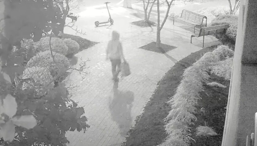 suspect-arrested-in-j6-dnc-and-rnc-pipe-bomb-case:-report