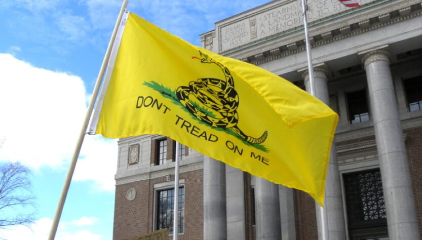 silence-is-deafening-from-second-amendment-‘don’t-tread-on-me’-crowd:-columnist