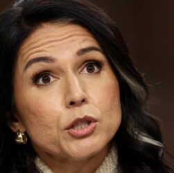 ‘i-don’t-think-she-survives-this’:-gabbard-faces-blowback-after-‘devastating’-testimony